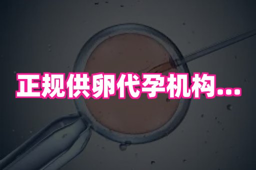 福建助孕网站 3